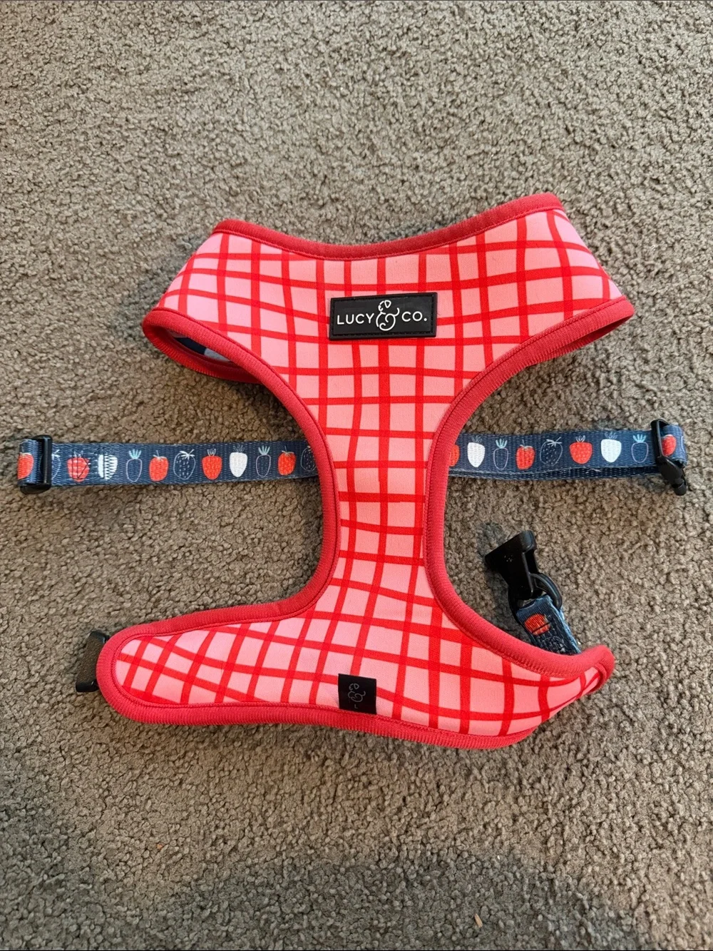 Lucy & Co. Strawberry Print Dog Harness in Navy and Red reversible size large